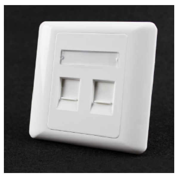 Faceplate 86Type Two Port Sisq