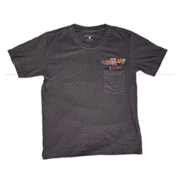 Plain T-Shirt Dark Grey Color Small , Eddie Bouer