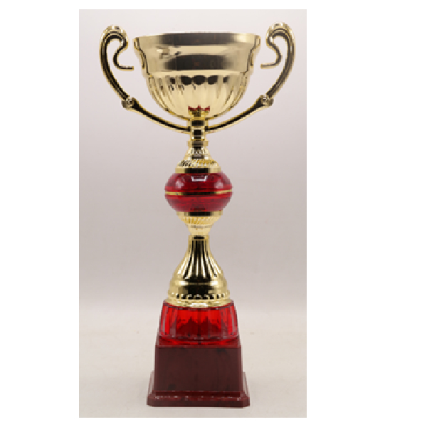 Budget Trophy-C 27.5Cm 80Mm Metal