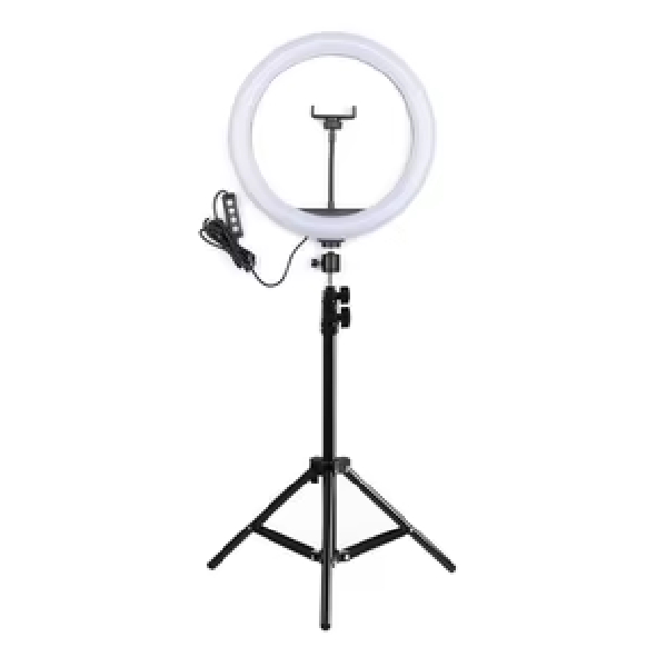 Ring Light 24W, 3000/4000/6000K, USB Powered, 10 Inch With Mobile Holder With WT803B Stand