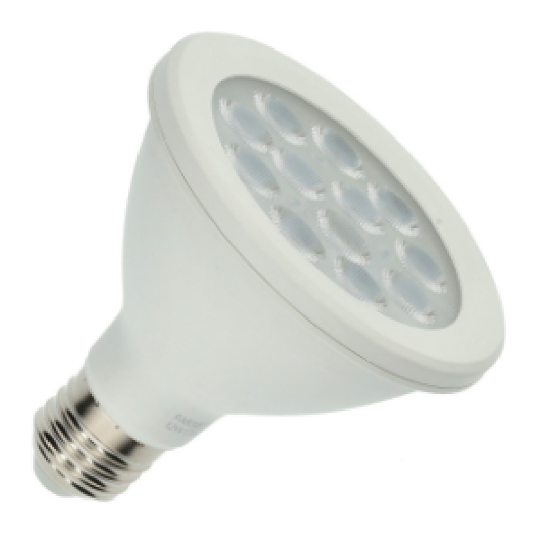 PAR30 24W Indoor Use LED Bulb, E27, 6500K Daylight