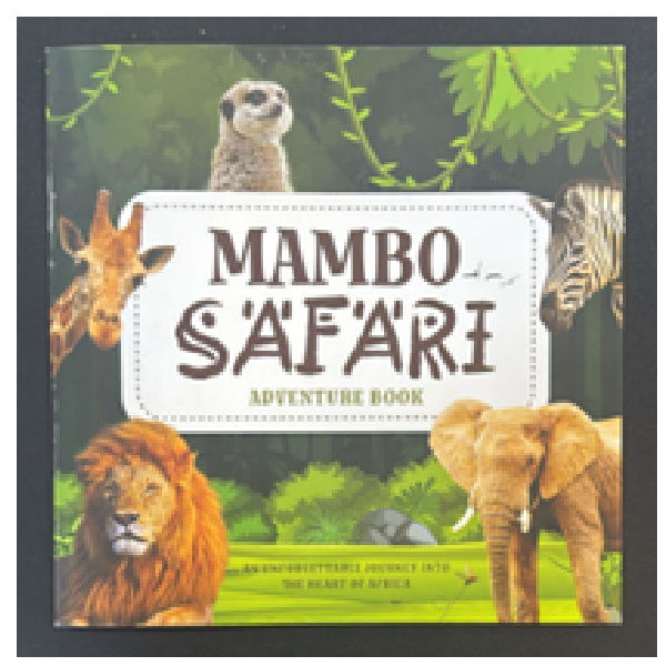 Adventure Book With Multiple Activity, Coloring, Sudoku, Learning About Animal, Birds & People Of Kenya & Tanzania