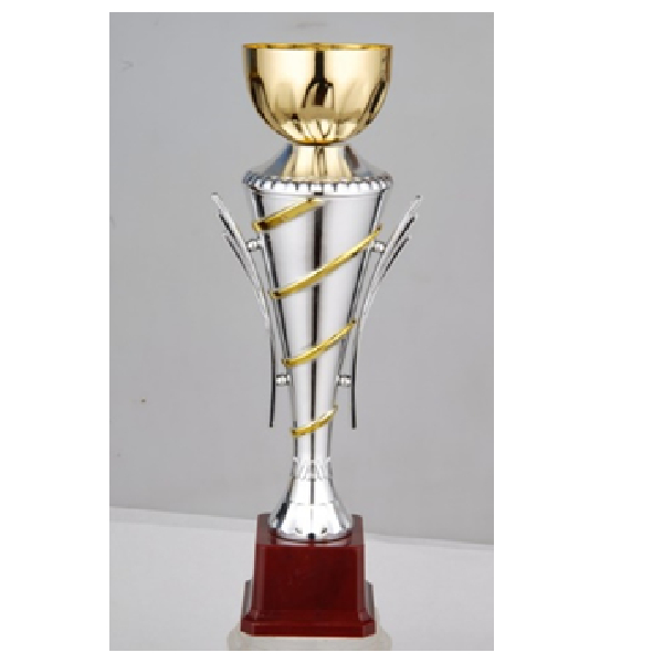 HB306-C Budget Trophy C 32.5Cm