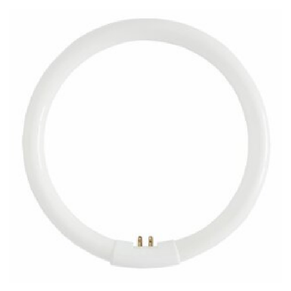 Circular Tube 220V, 6400K 22W T5-Gz10Q-22
