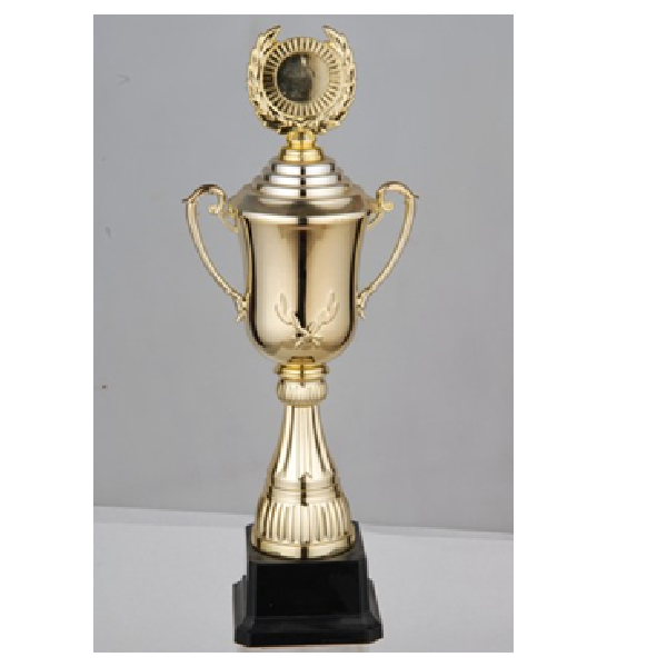 Budget Trophy-A 47Cm 100Mm Plastic