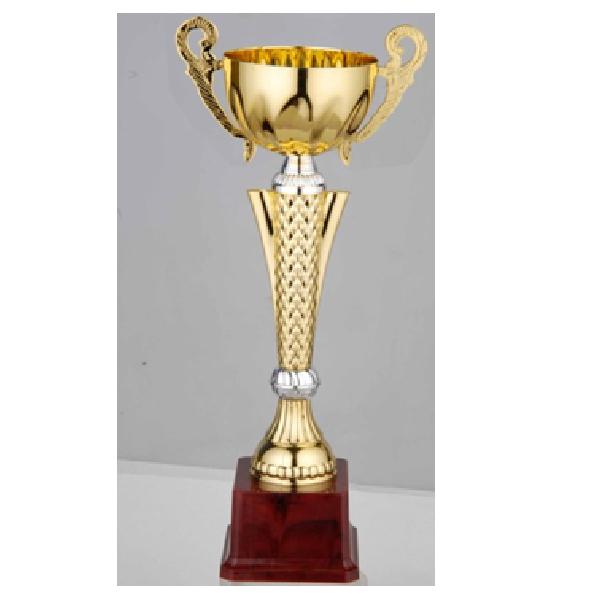 FB2054-B Budget Trophy B 31.5Cm
