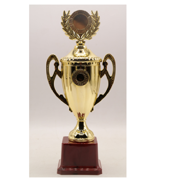 Budget Trophy H 25.5Cm Dia/Cup(Mm)6Cm Hb4115B Plastic
