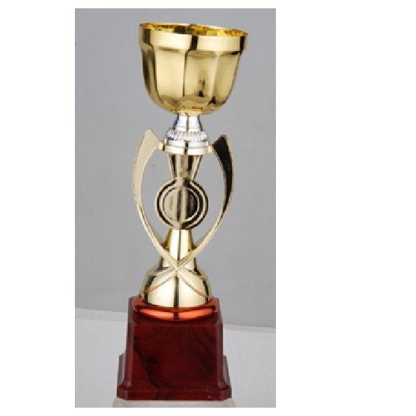 FB2018-B Budget Trophy B 29Cm