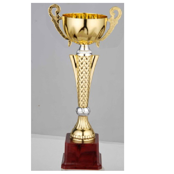 FB2054-C Budget Trophy C 28Cm
