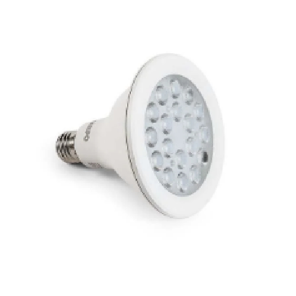 PAR30 24W Outdoor Use LED Bulb, E27, 6500K Daylight